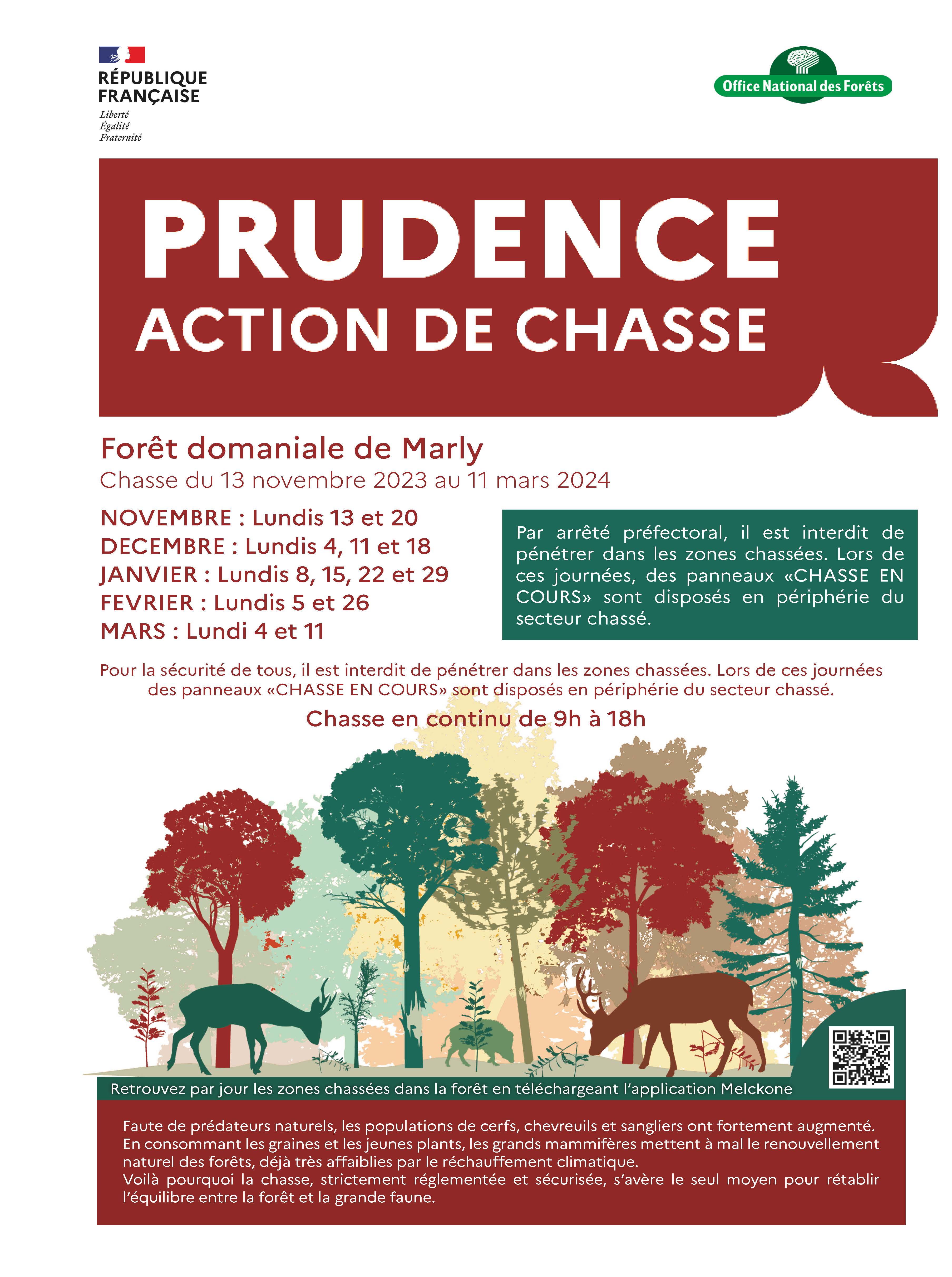 Affiche_chasse_Marly.jpg